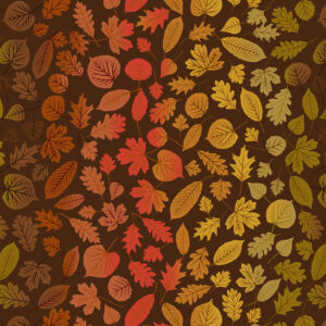 Lewis & Irene Fabrics A Winter Nap Rainbow leaves on Dark Brown